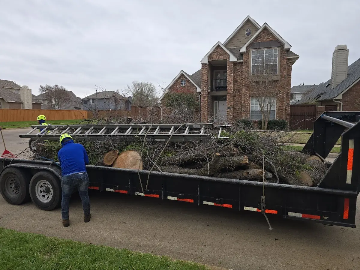 Expert Tree Removal with proper safety equipment in Petal